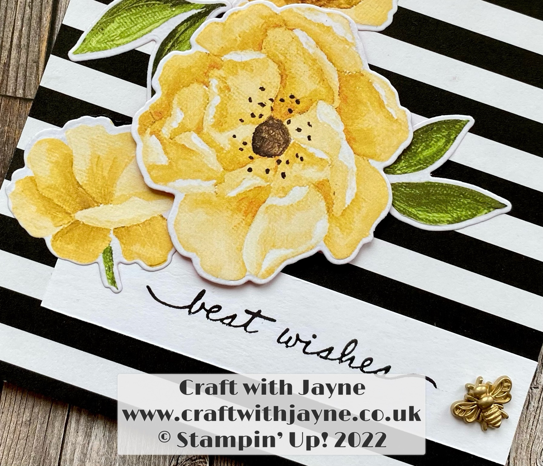 InspireINK Blog Hop | Craft with Jayne | Stampin Up ! – Craft with Jayne