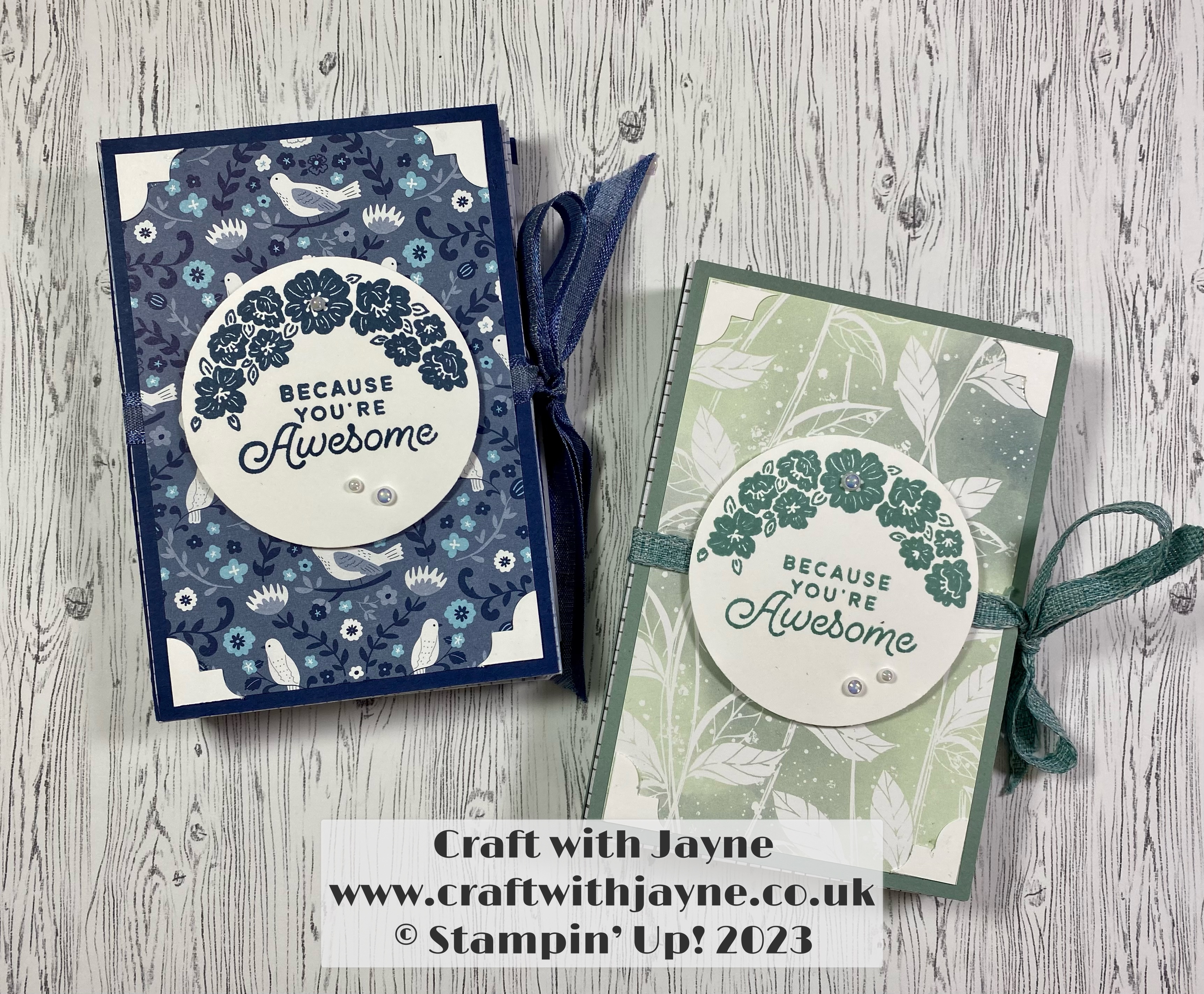 In-Color Treat Bag Mini Pocket Album | Craft with Jayne | Stampin Up ...