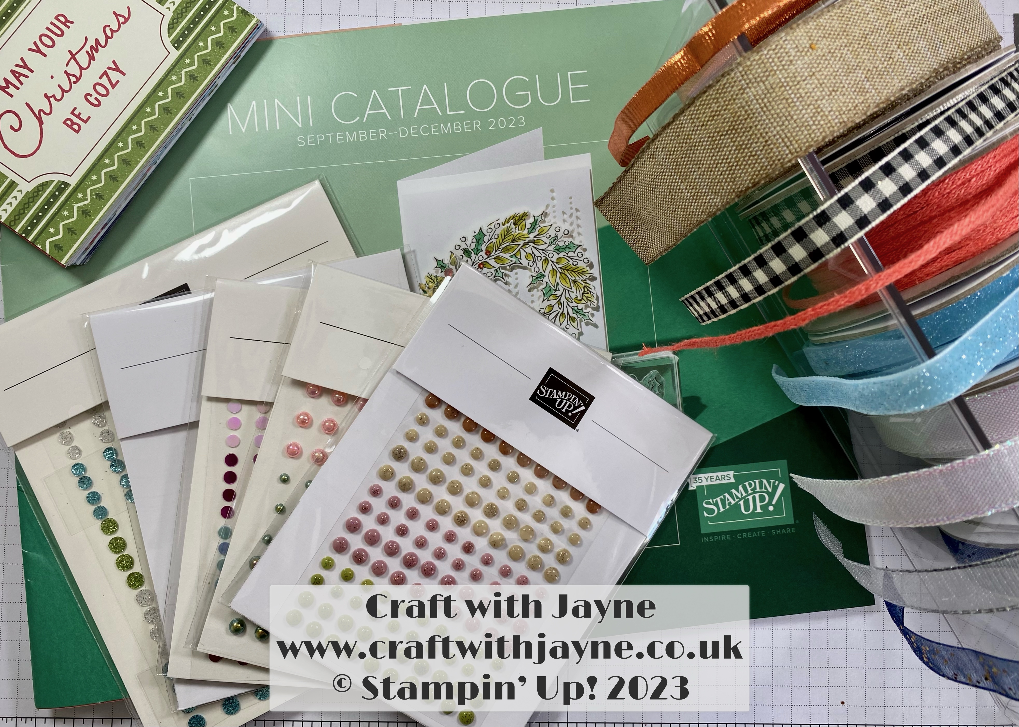 Mini Catalogue Embellishments Haul | Craft with Jayne | Stampin Up ...