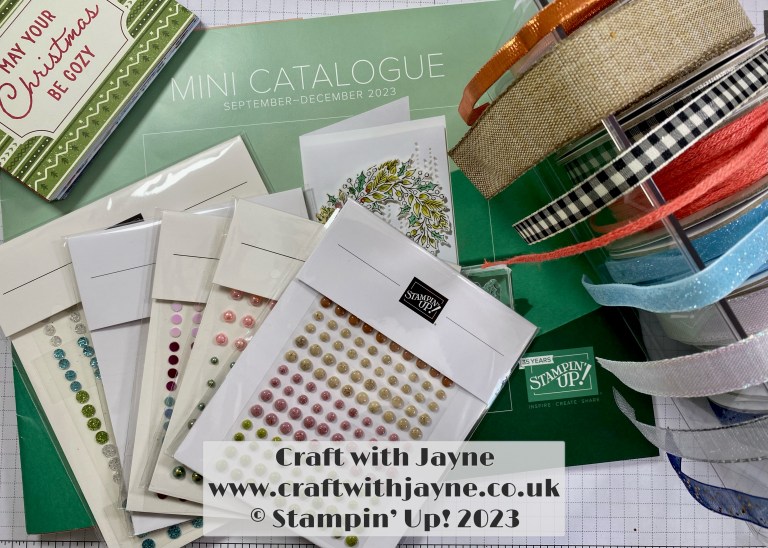Mini Catalogue Embellishments Haul | Craft with Jayne | Stampin Up ...
